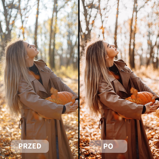 Preset RUSTIC FALL