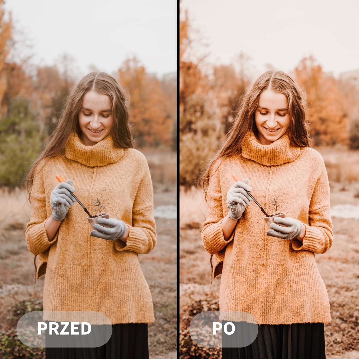 Preset COZY AUTUMN