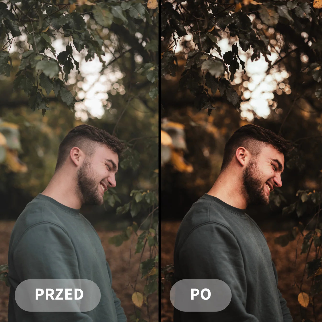 Pakiet LIFESTYLE (30 Kolekcji)