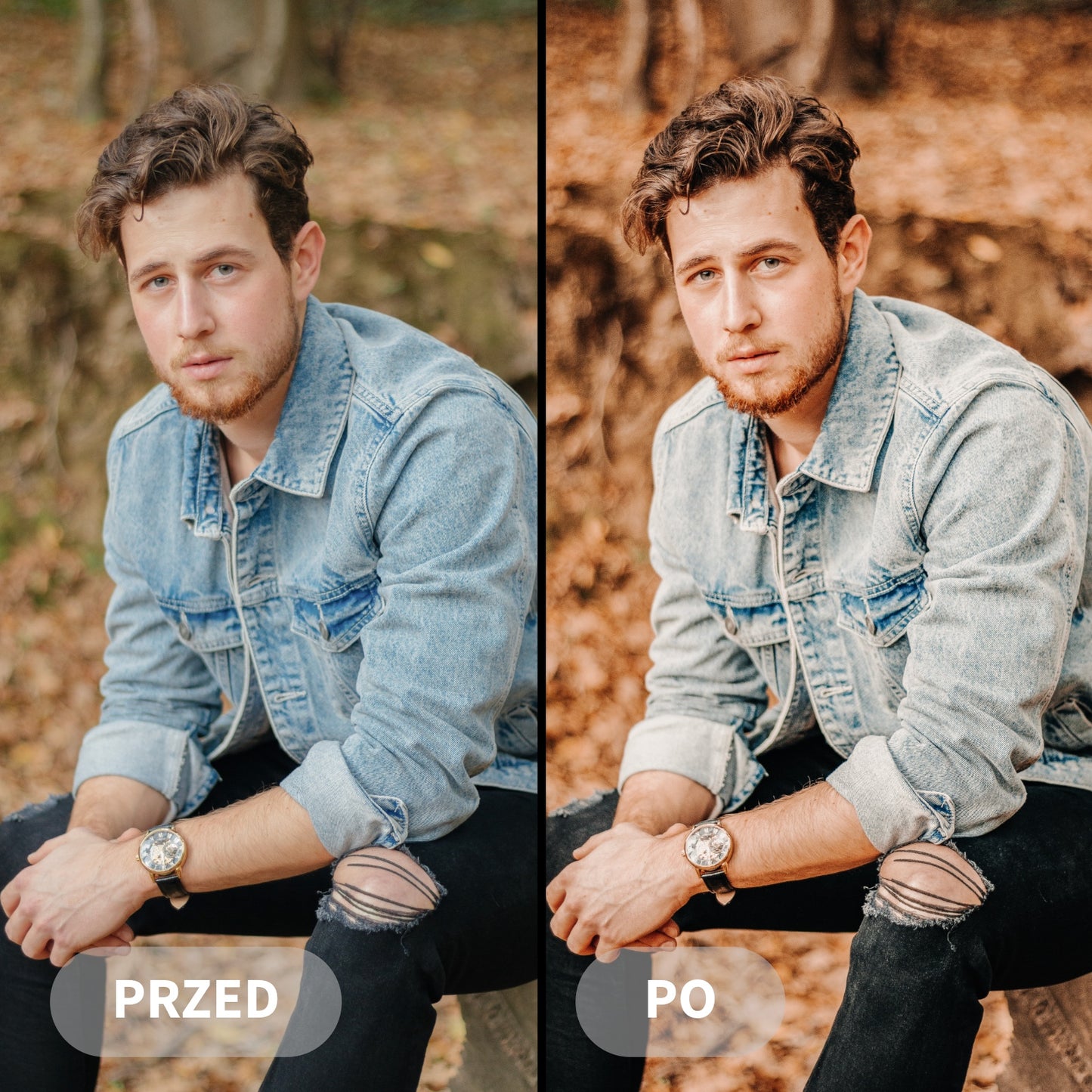 Preset COZY AUTUMN