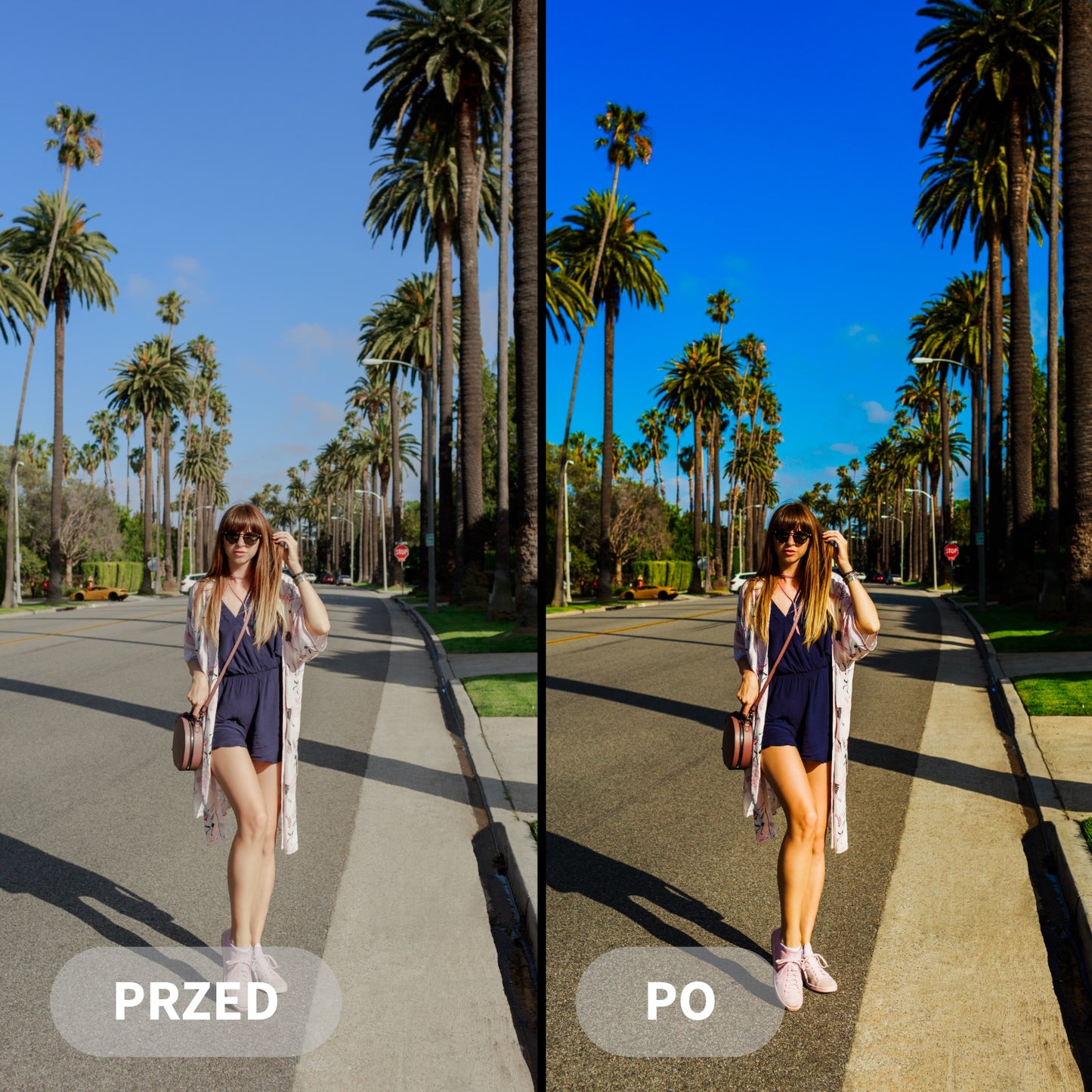Preset DJI DRONE
