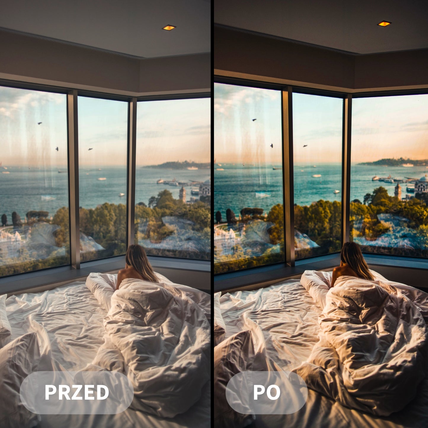 Preset DJI DRONE
