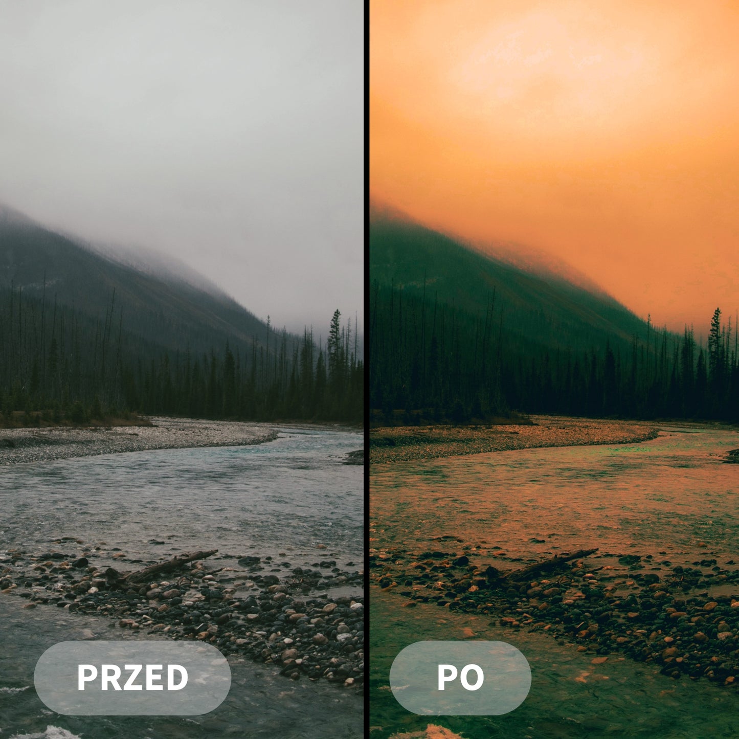 Preset DYSTOPIA