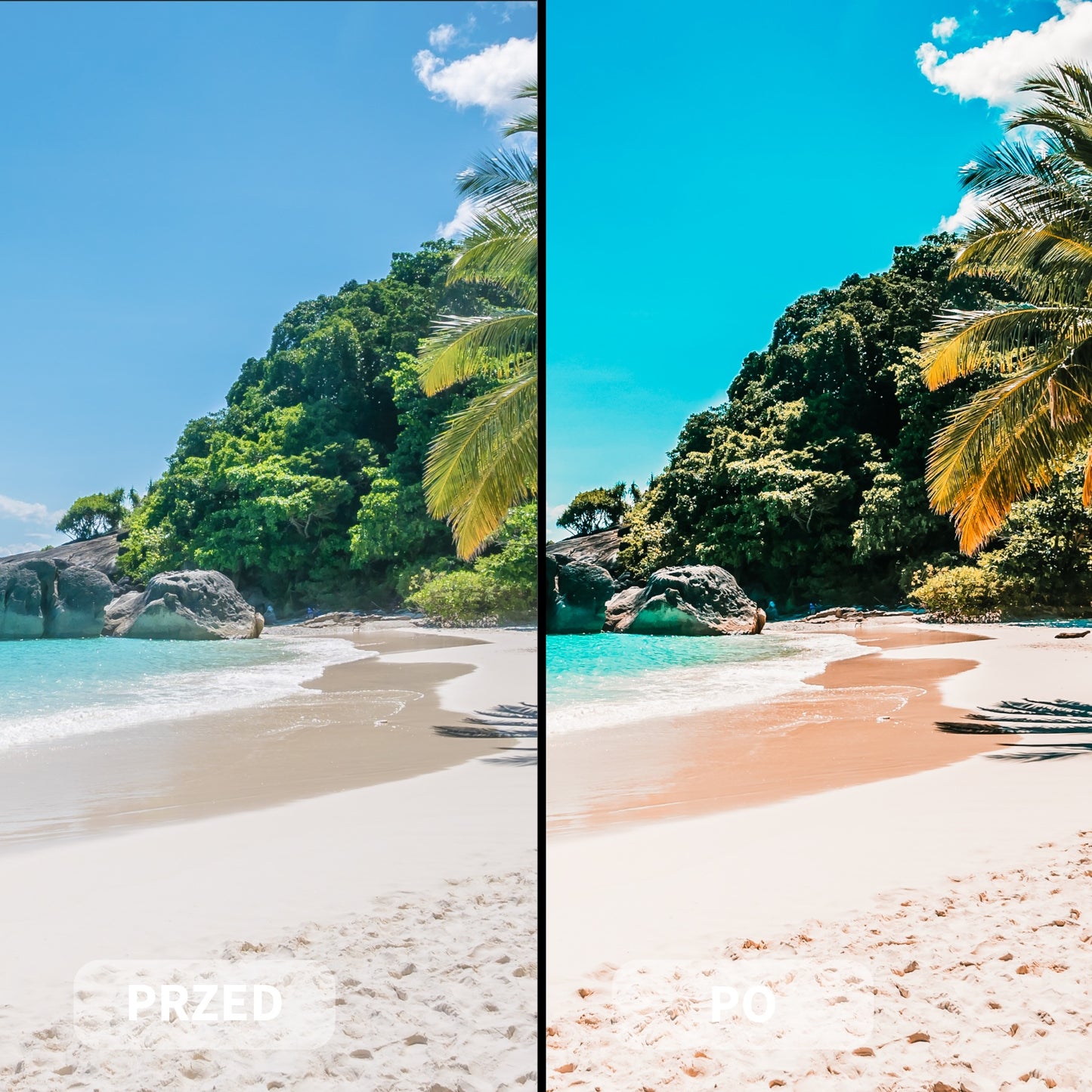 Pakiet TRAVELLER (11 Kolekcji)