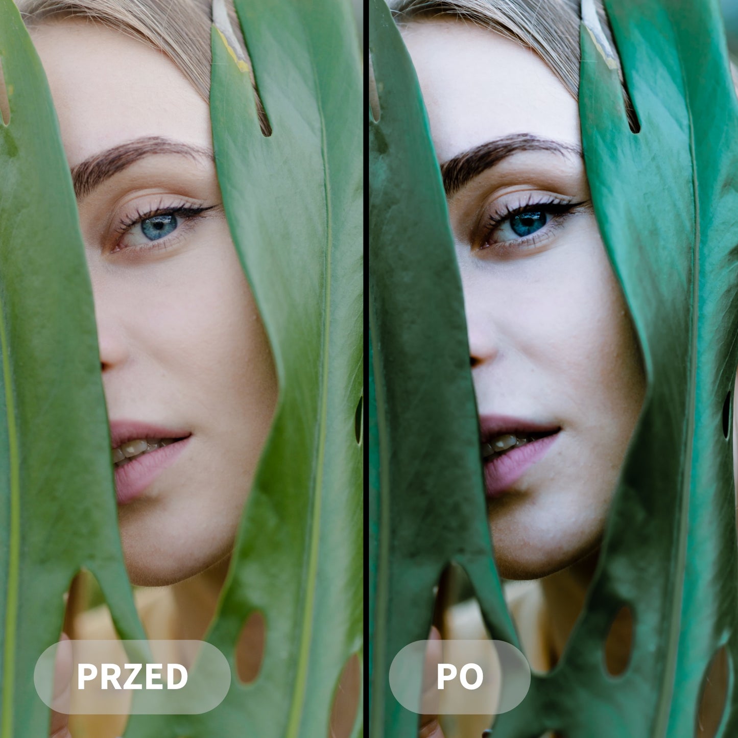 Preset MOODY GREEN