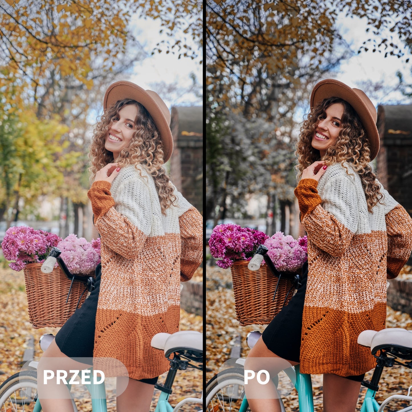 Preset NATURAL DARK