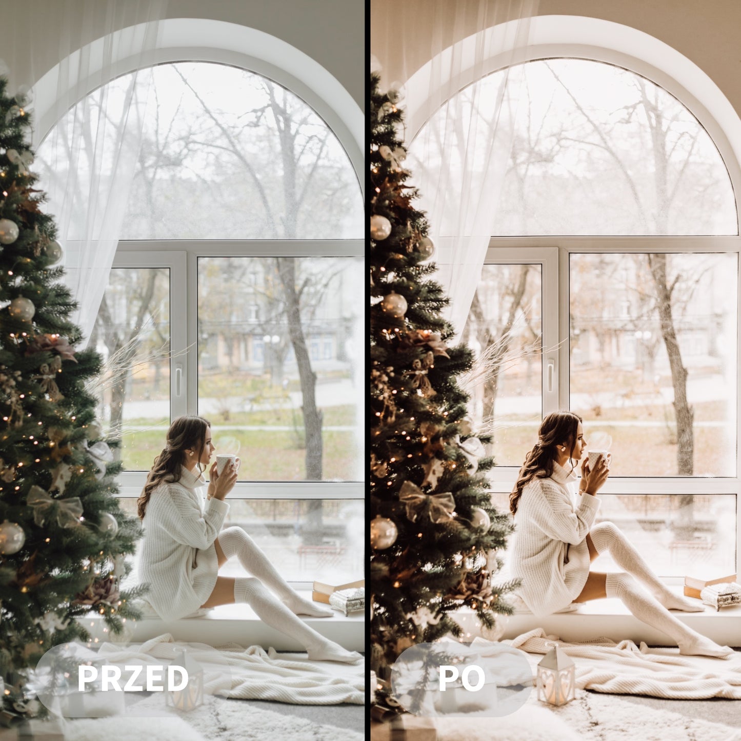 Preset RUSTIC CHRISTMAS