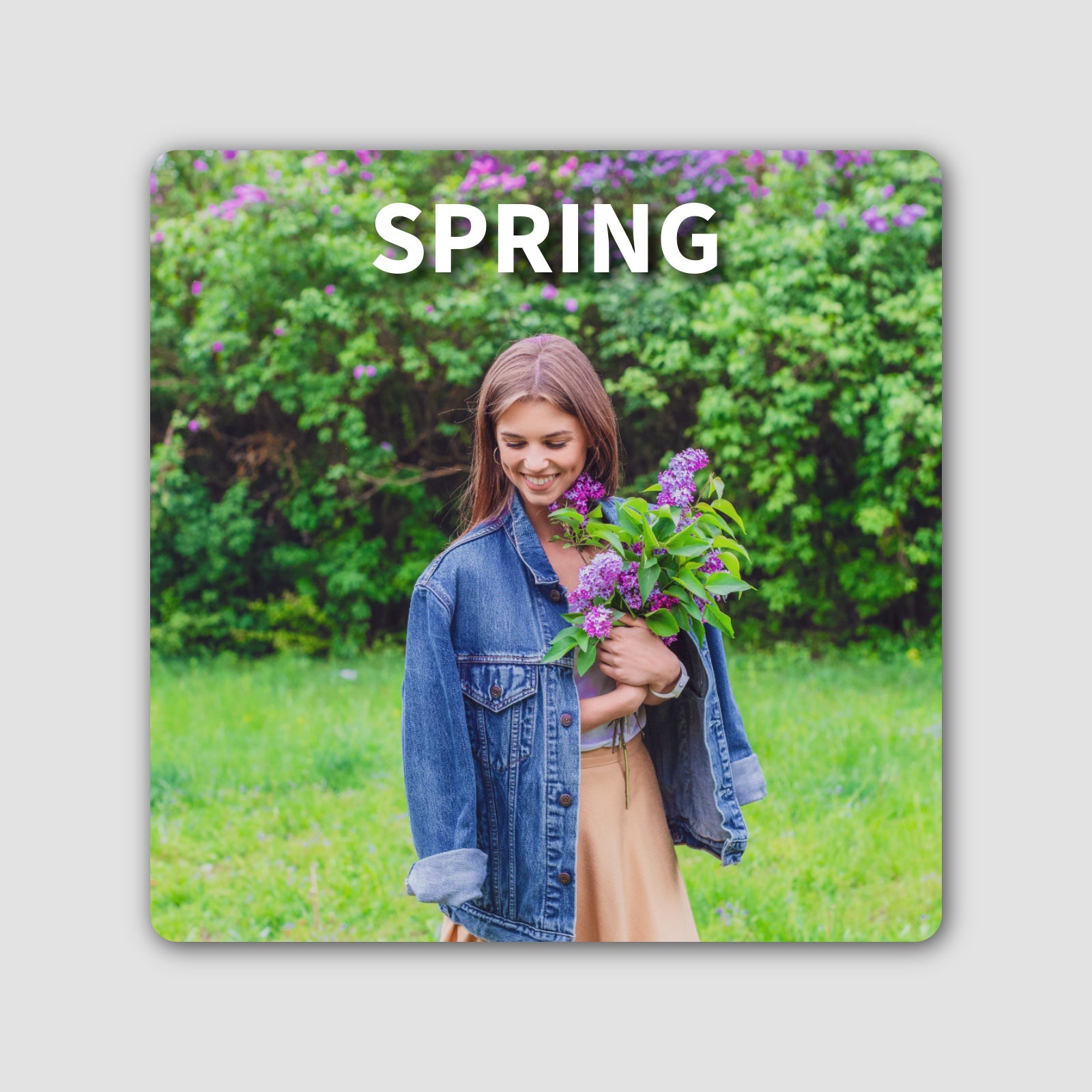 Preset Spring