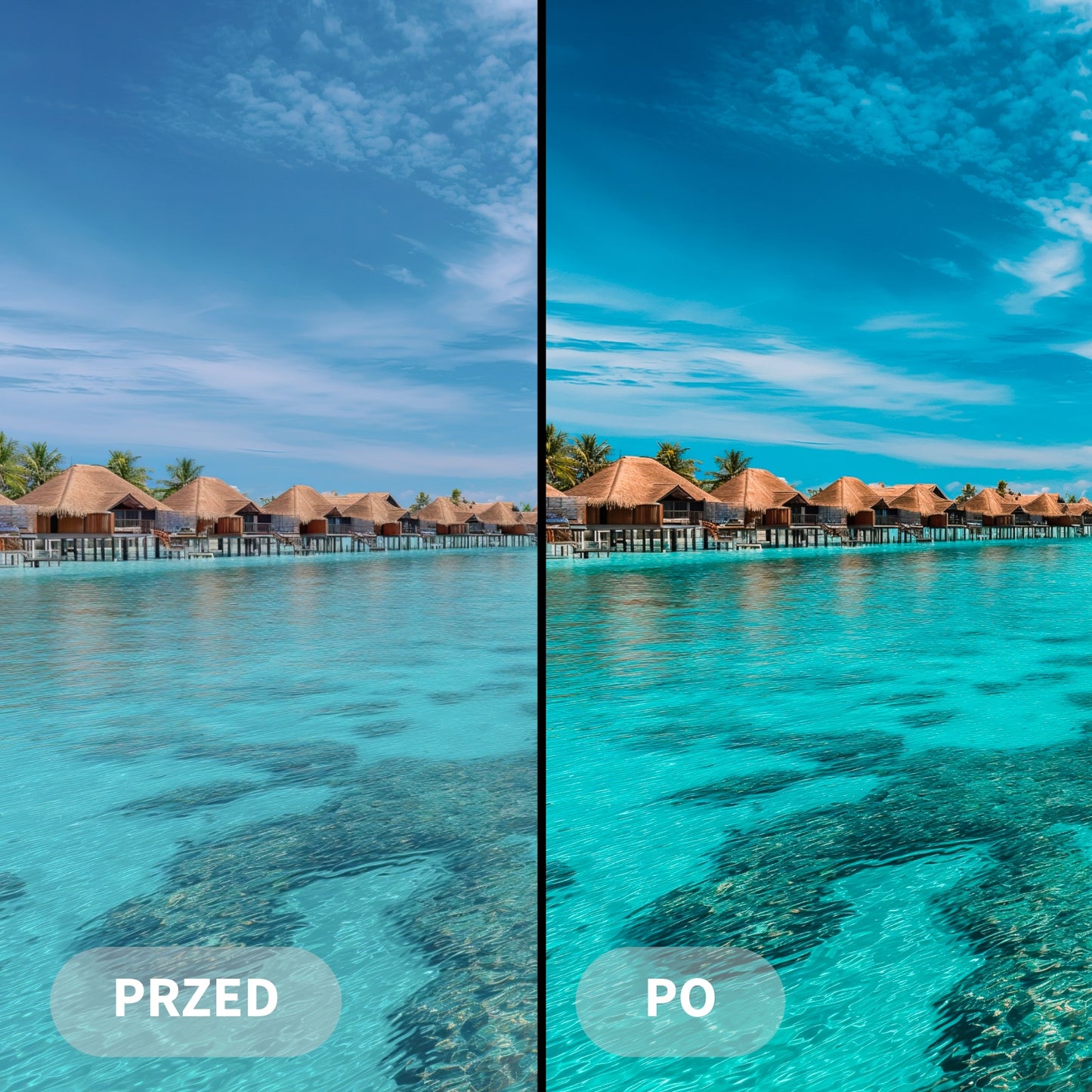 Preset TROPICAL VIBES