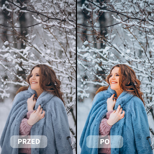 Preset WINTER